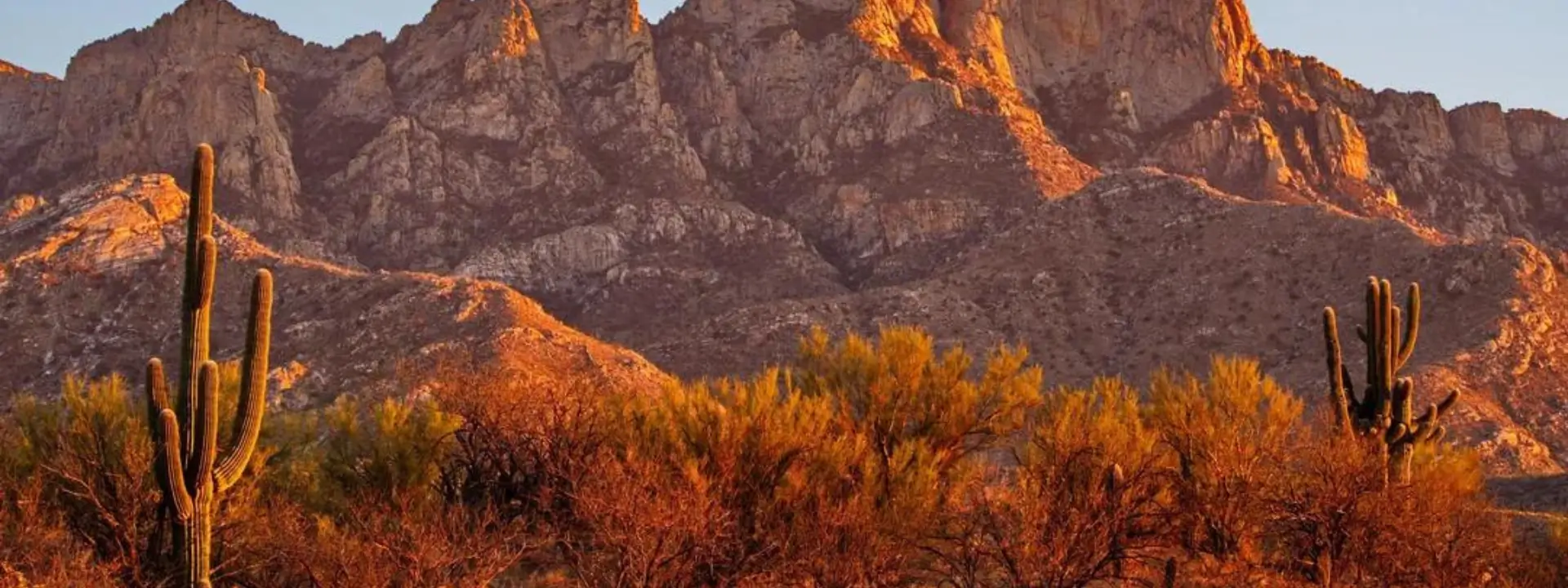 Catalina landscape